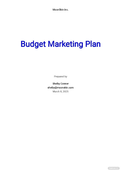 Budget Marketing Plan Template