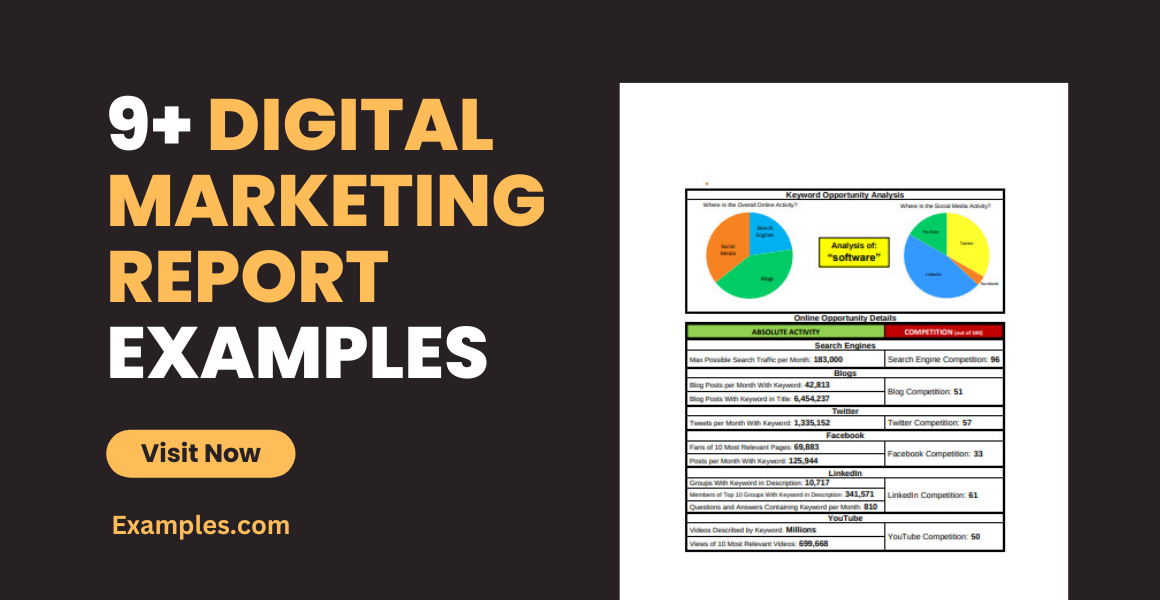 Digital Marketing Report Examples