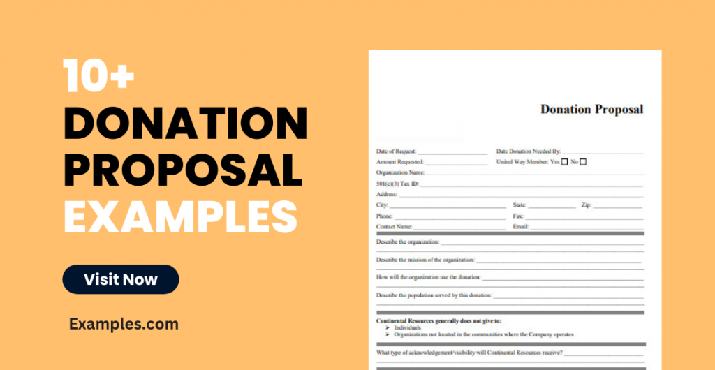 Donation Proposal Examples