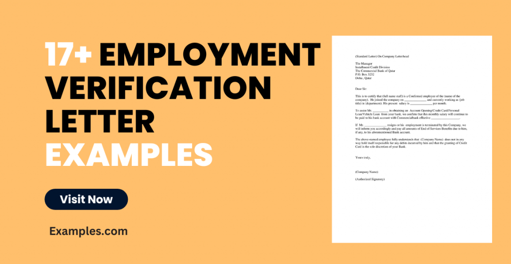 Employment Verification Letter Examples