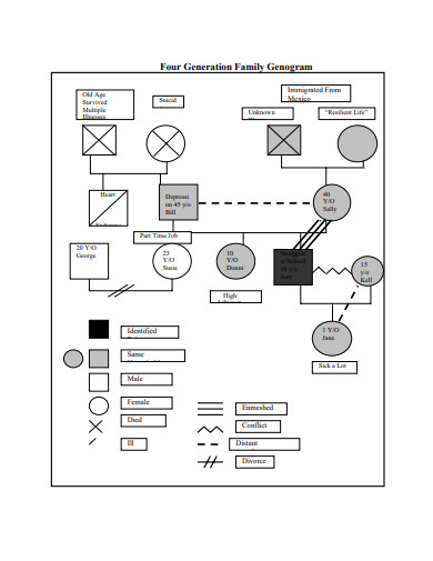 12+ Family Genogram Examples in PDF | MS Word | Examples