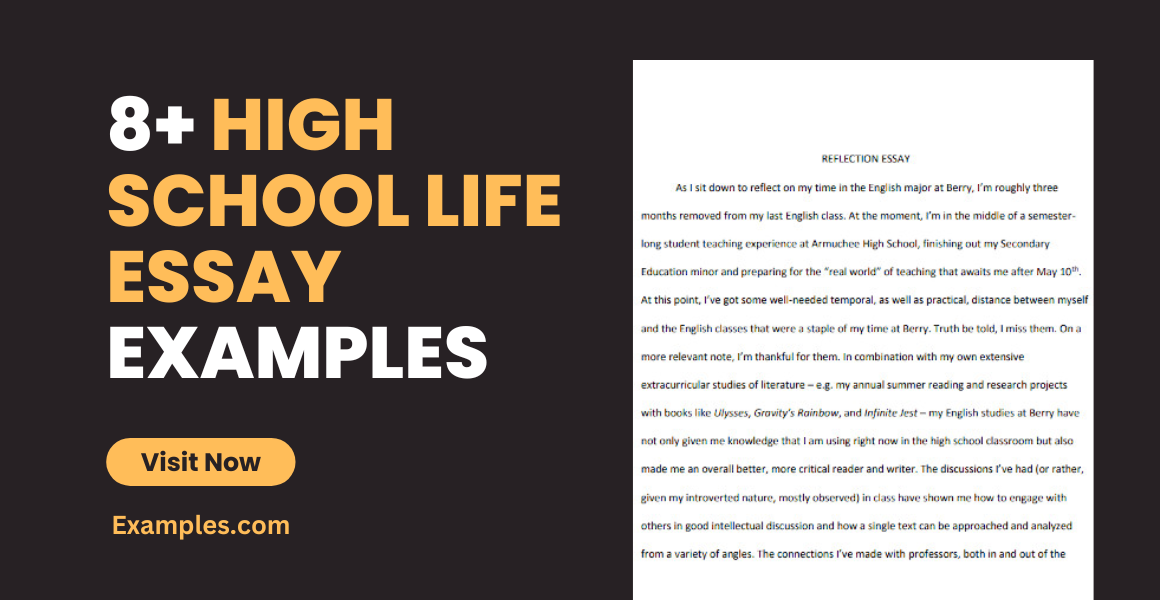 High School Life Essay Examples