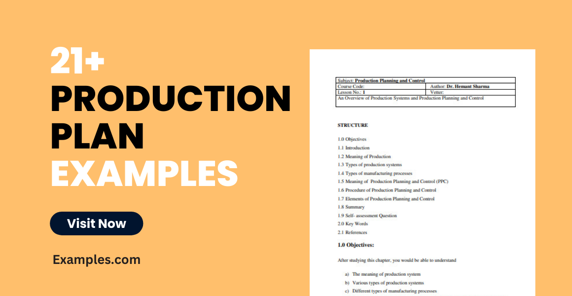 sample of production plan in business plan