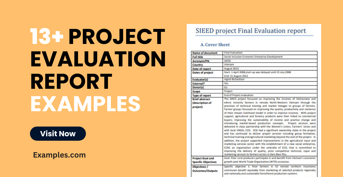 project evaluation example pdf