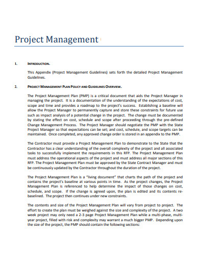 project management executive summary