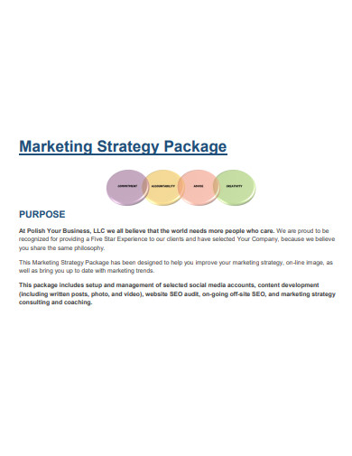 seo marketing strategy package