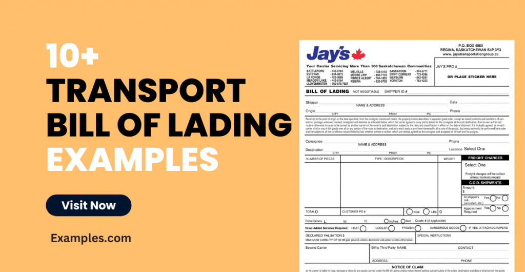 Transport Bill of Lading Examples