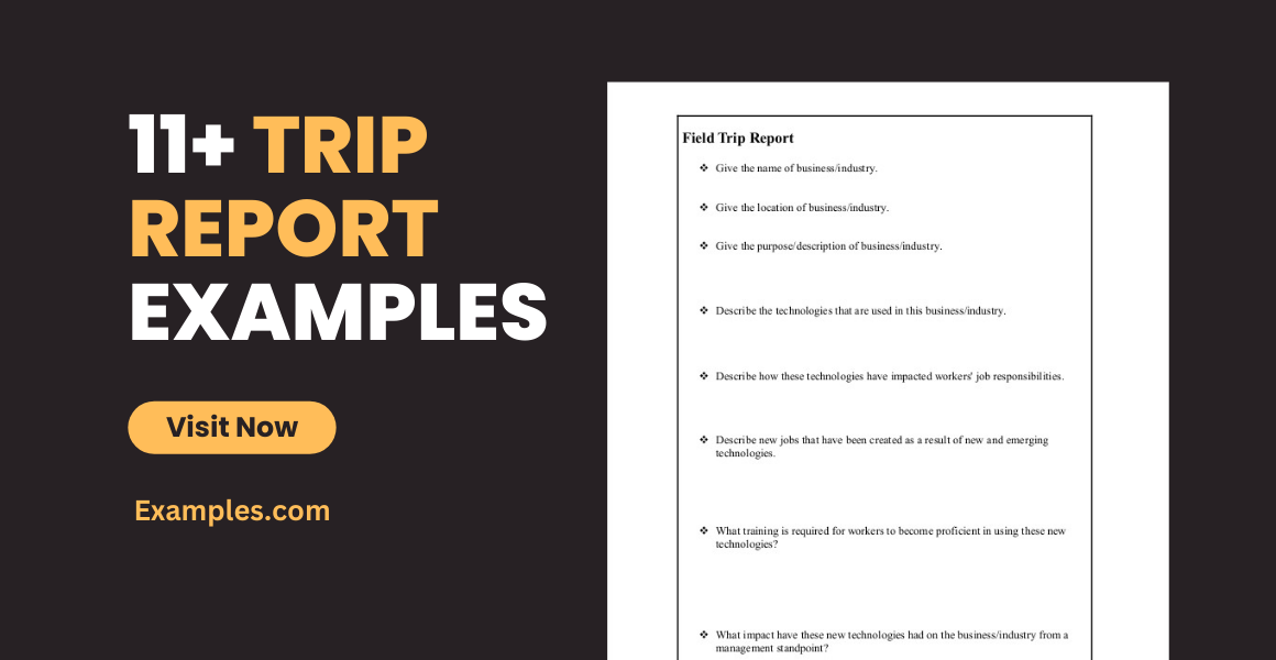 how to write a report on field trip