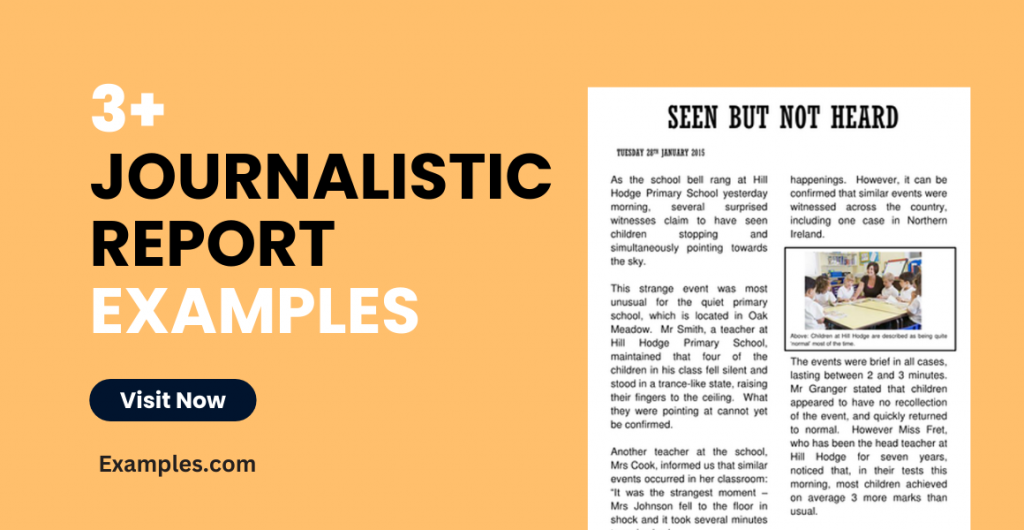 Journalistic Report Examples