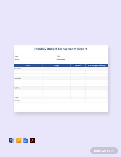monthly budget management report