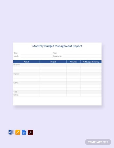 Monthly Budget Management Report