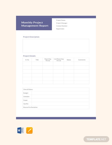 Monthly Project Management Report