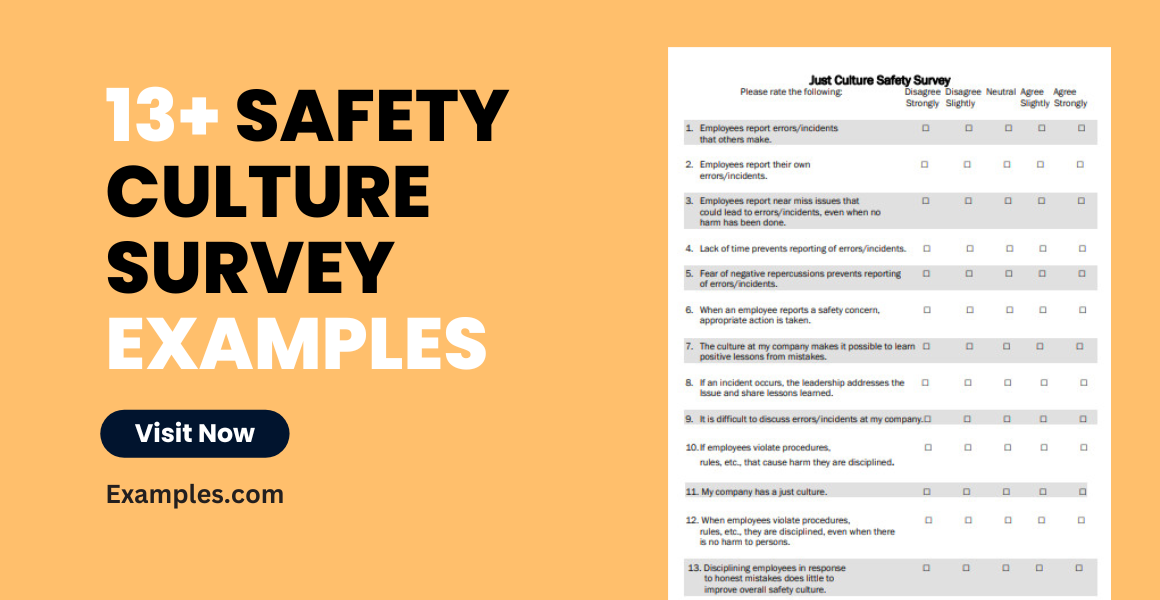 safety culture survey examples