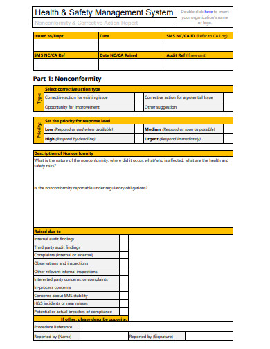 Non Conformance and Audit Report Template