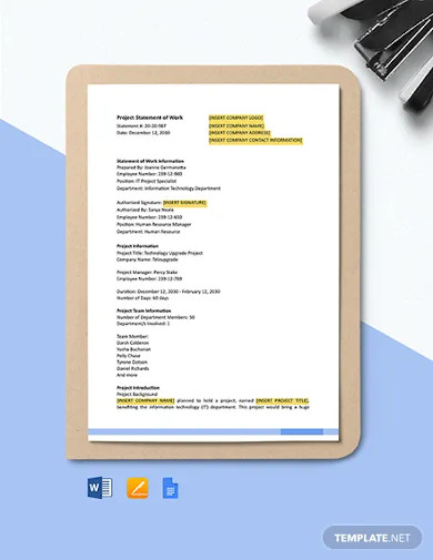 28+ Statement of Work Examples in PDF | MS Word | Pages | Google Docs ...