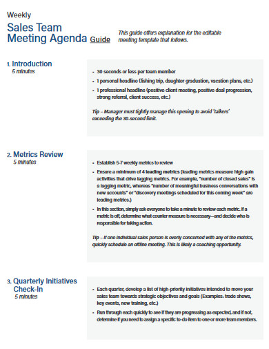 Team Meeting Agenda 10 Examples Format Pdf