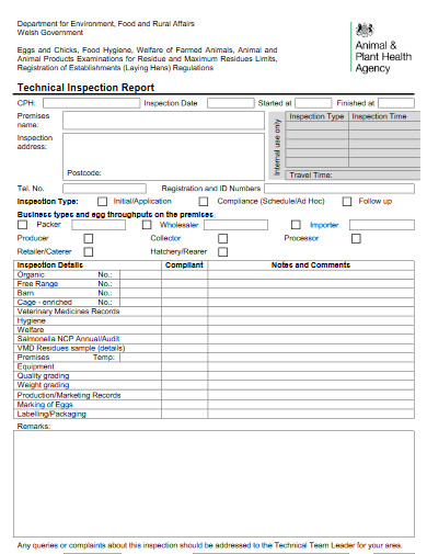 technical inspection report