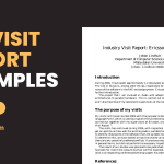 Visit Report Examples