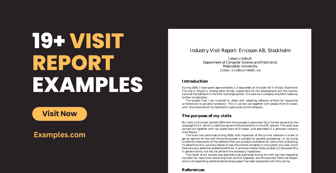 Visit Report Examples