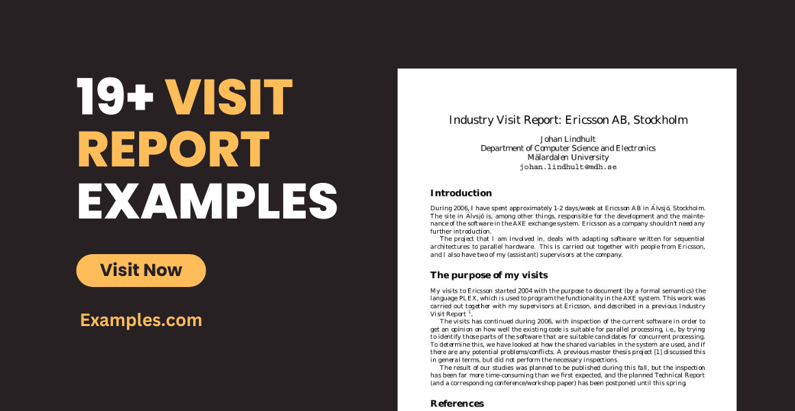 visit report format free download