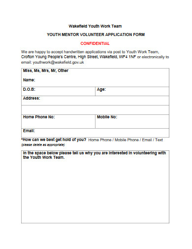 youth mentor volunteer application form