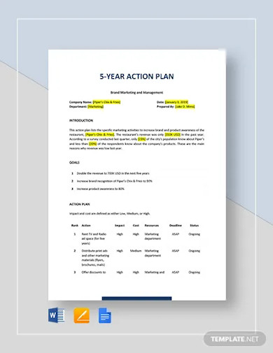 5 year action plan template