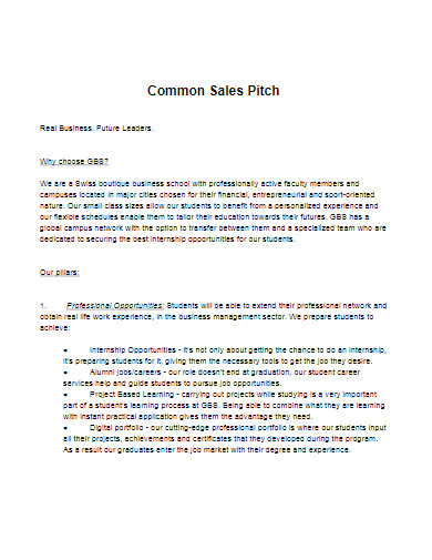 sales pitch assignment