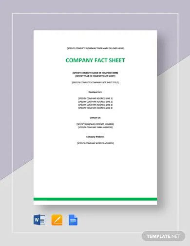 company fact sheet template