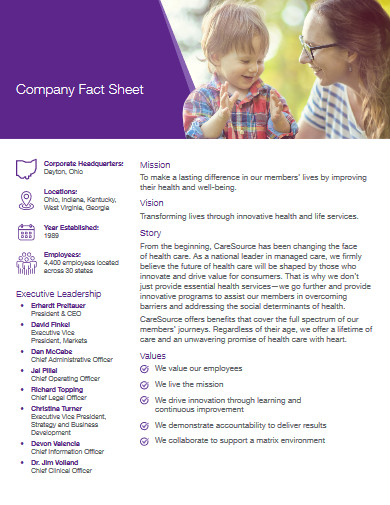 company fact sheet in pdf