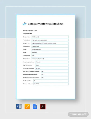 company information sheet template