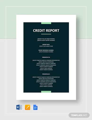 Credit Report Template