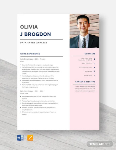 data entry analyst resume template
