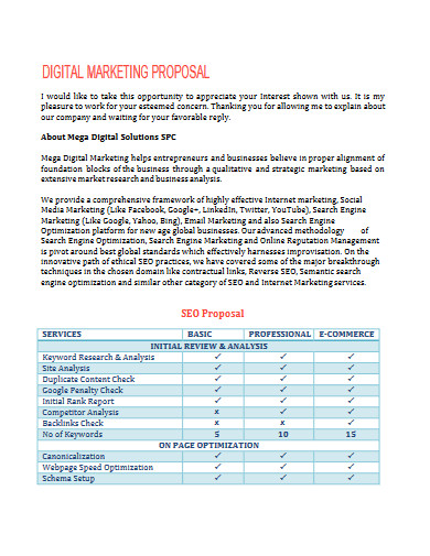 Digital Marketing Proposal 10  Examples Format How to Create Pdf