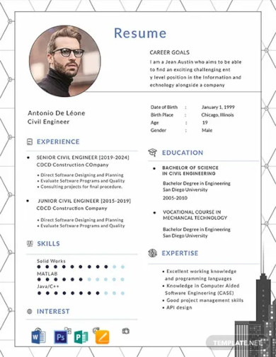 combination resume word template free download