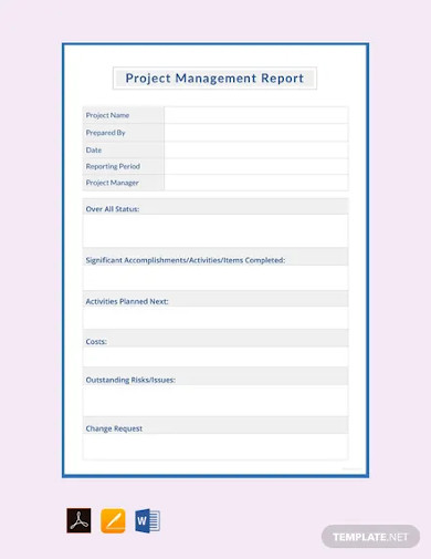 Free Project Management Report Template