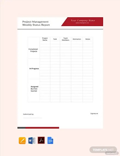 Free Project Management Weekly Status Report Template