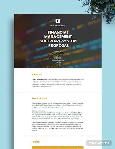 free sample software proposal template