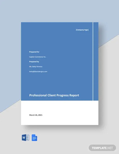 professional client progress report template