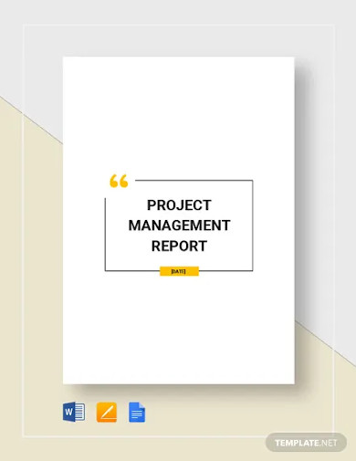 Project Management Report Template