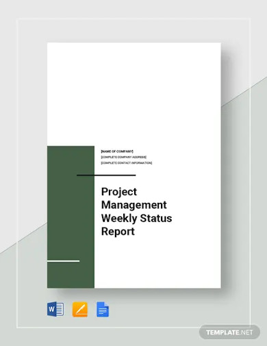 Project Management Weekly Status Report Template