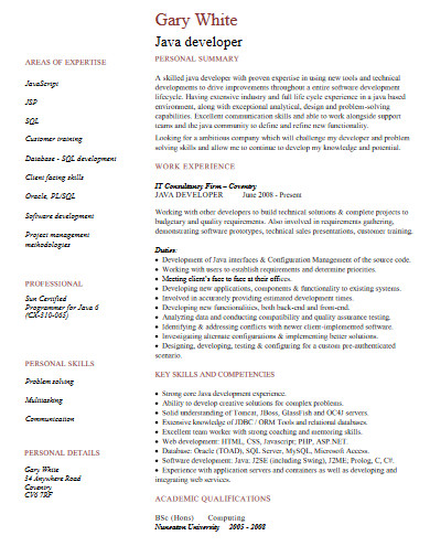 Java Developer Resume - 10+ Examples, Format, Sample | Examples