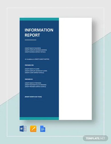 Simple Information Report Template