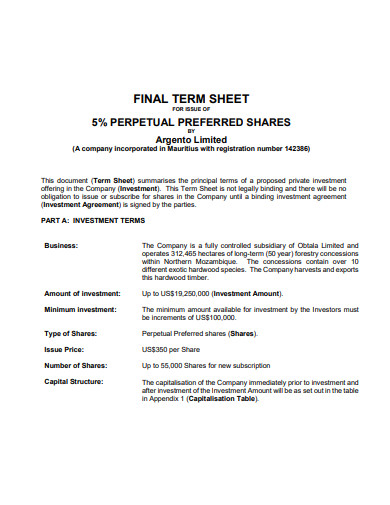 term sheet in pdf