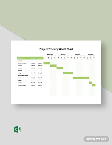 Project Tracking Gantt Chart Template