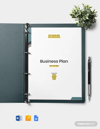 Software Company Business Plan Template