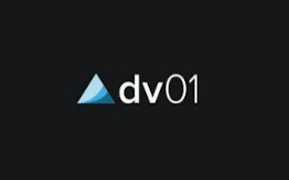 Dv01 Pitch Deck Example