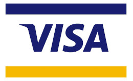 Visa Vision Statement