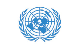 United Nations Vision Statement