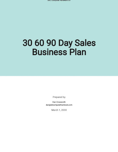 30 60 90 day sales business plan template