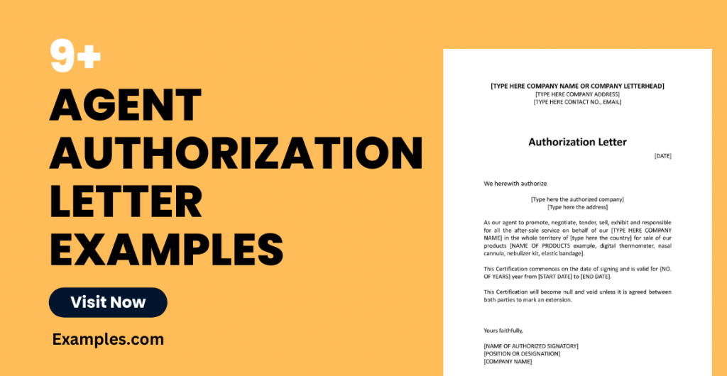 Agent Authorization Letter Examples